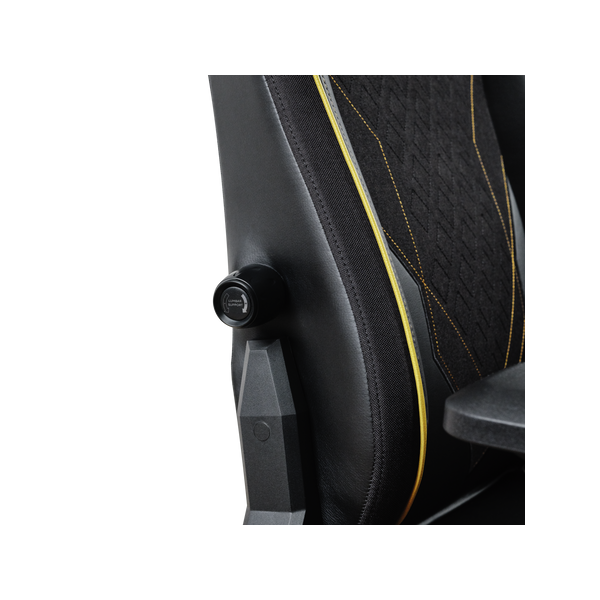 25186 GXT721 RUYA PRO GAMING CHAIR