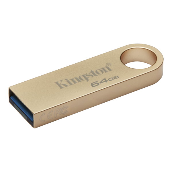 Kingston 64GB USB 3.2 Type-A Gen1 DT SE9 G3