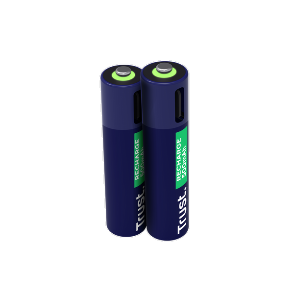 25585 USB-C RECHARGEABLE BATTERIES 2P - AAA