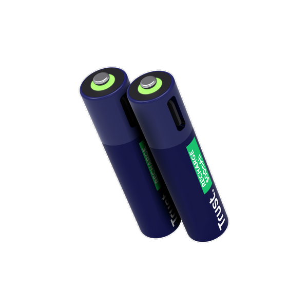 25585 USB-C RECHARGEABLE BATTERIES 2P - AAA