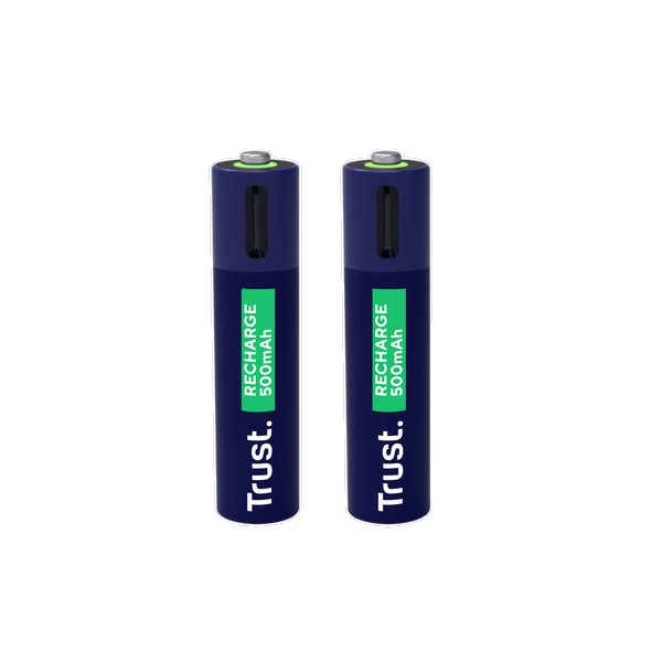 25585 USB-C RECHARGEABLE BATTERIES 2P - AAA