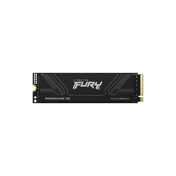 Kingston SSD M.2 4TB PCIe 5.0 FURY Renegade