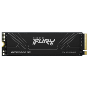 Kingston SSD M.2 1TB PCIe 5.0 FURY Renegade