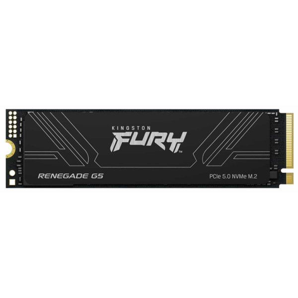 Kingston SSD M.2 2TB PCIe 5.0 FURY Renegade
