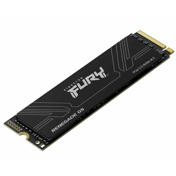 Kingston SSD M.2 2TB PCIe 5.0 FURY Renegade
