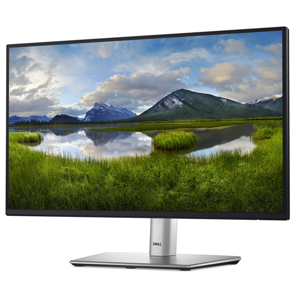 Monitor DELL 21.5" P2225H D-Sub, HDMI, DP, USB3.2, IPS, 100Hz, sRGB 99%, Pivot