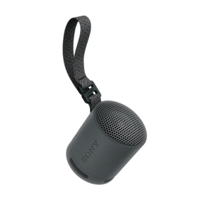 Wireless Speaker/ Sony/ Sony SRS-XB100 Portable Speaker Black (SRS-XB100/BCE)