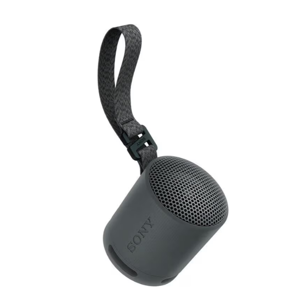 Wireless Speaker/ Sony/ Sony SRS-XB100 Portable Speaker Black (SRS-XB100/BCE)