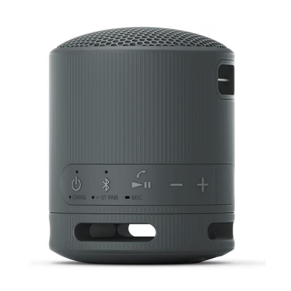 Wireless Speaker/ Sony/ Sony SRS-XB100 Portable Speaker Black (SRS-XB100/BCE)