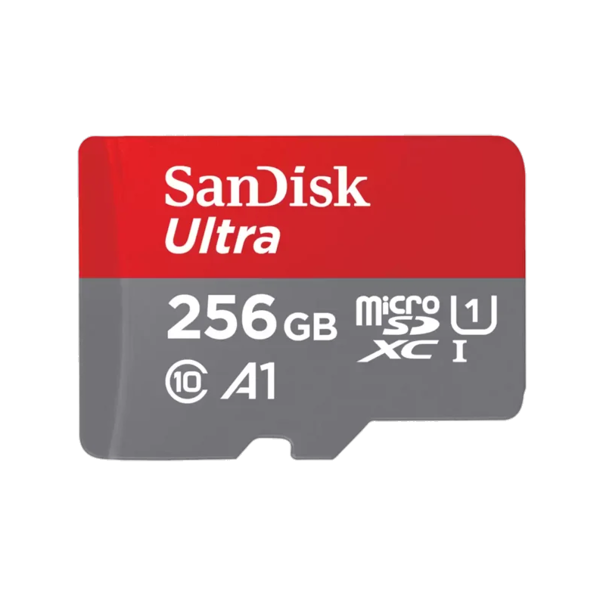 Flash Card/ SanDisk microSD Express Card - 256GB