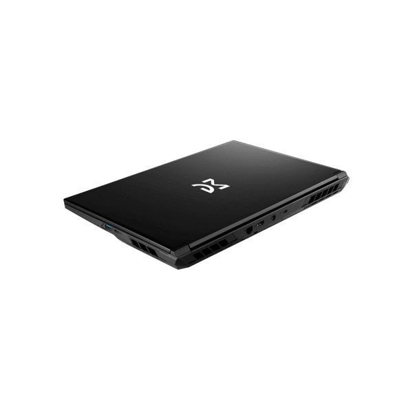 Dream Machines Notebook RG5060-17 17.3QHD IPS, Intel i9-14900HX, 16GB, F1TB, NVD5060-8, DOS, black