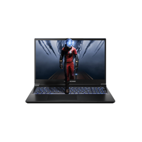 Dream Machines Notebook RG5060-15 15.6QHD IPS, Intel i9-14900HX, 32GB, F1TB, NVD5060-8, DOS, black