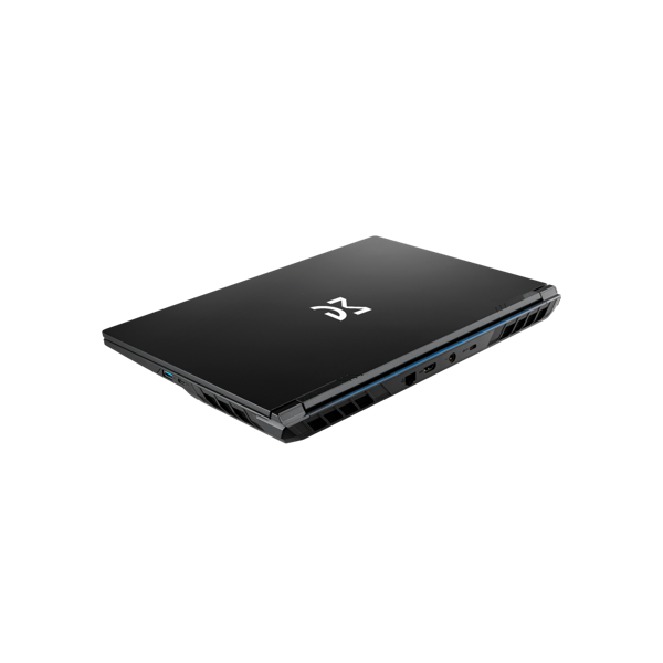 Dream Machines Notebook RG5060-15 15.6QHD IPS, Intel i9-14900HX, 32GB, F1TB, NVD5060-8, DOS, black
