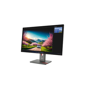 Monitor/ Lenovo/ Lenovo ThinkVision P32UD-40 31.5" 3840x2160 350 cd/m² 120Hz Raven Black